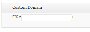 Custom domain name field